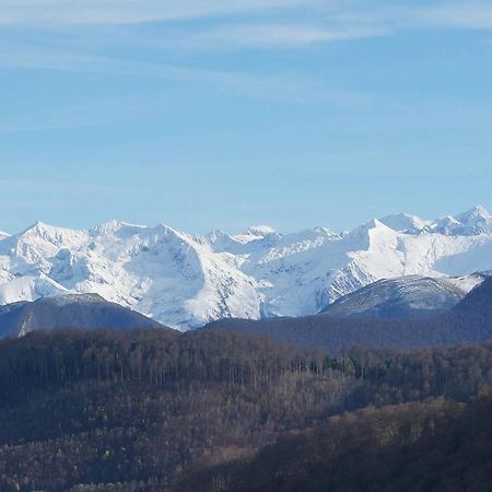 Joli Gite En Ariege Avec Vue Buzan Eksteriør billede